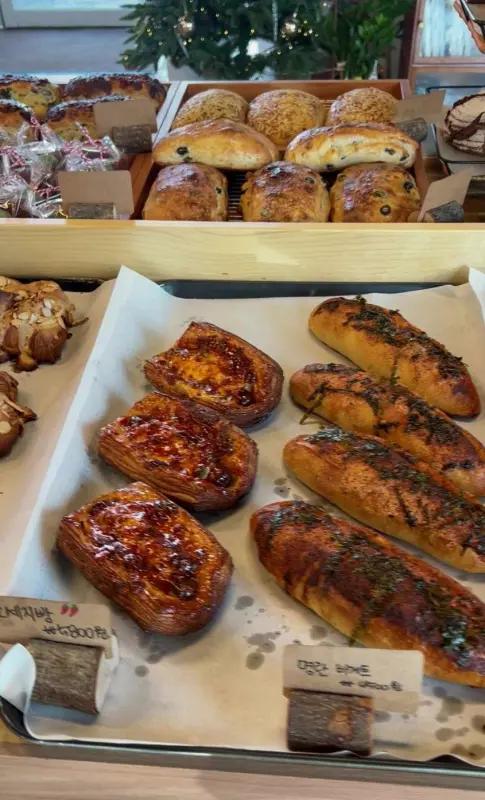 다양한 종류의 빵이 진열된 모습