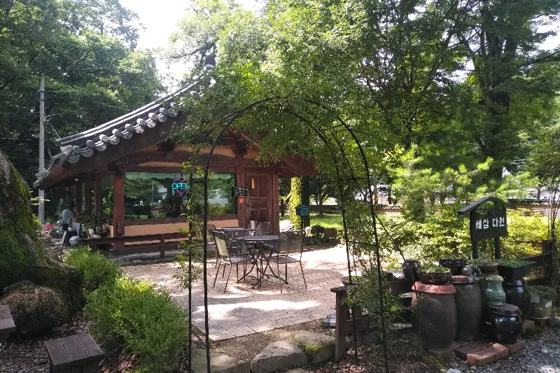 푸른 나무들 사이에 자리 잡은 세심다원의 전경