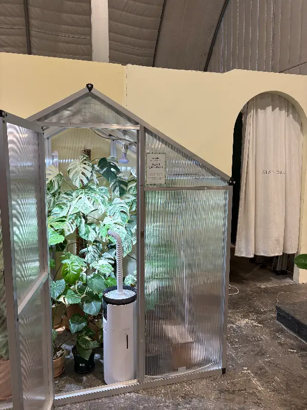 카페 내부 식물