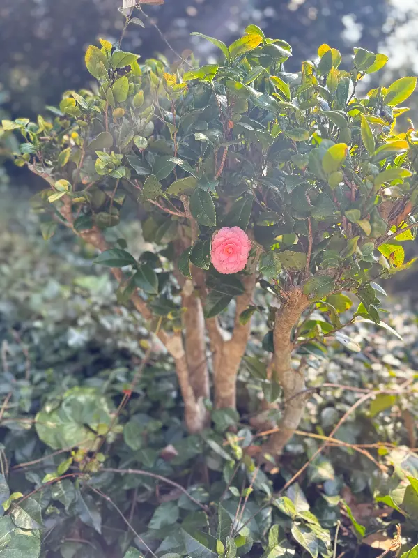 어방가 주변 풍경