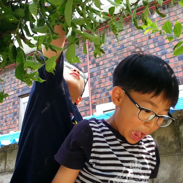 아이들이 무언가를 채집하고 있는 모습