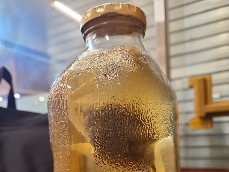 델몬트 병에 담긴 보리차