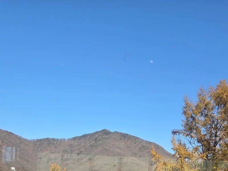 레드브릿지 카페 외관