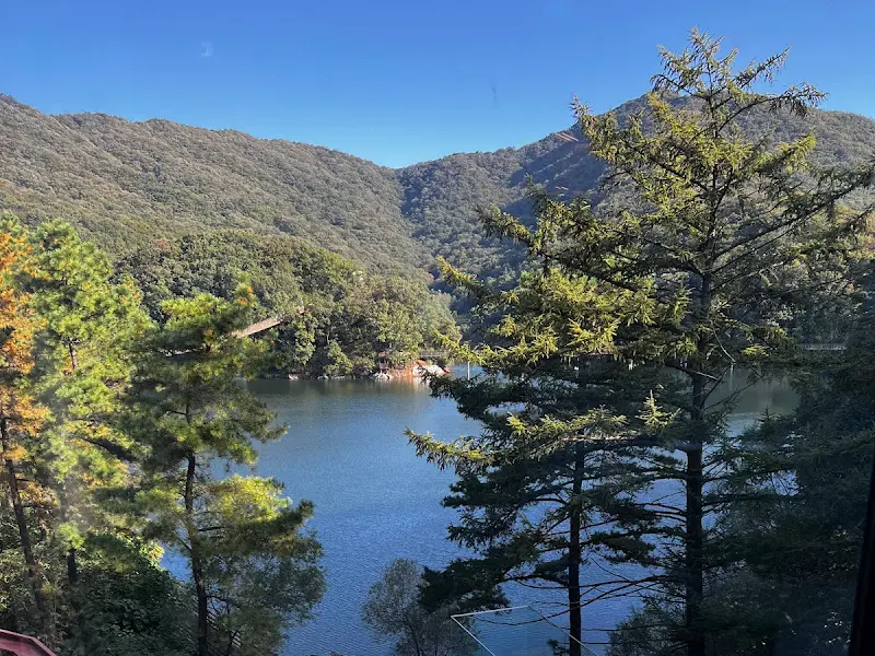 마장호수와 주변 숲의 풍경