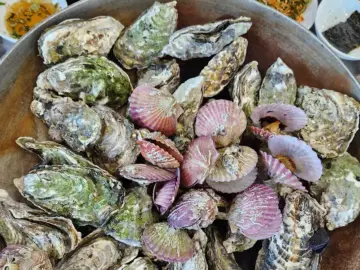 잊을 수 없는 겨울의 맛! 거제에서 즐기는 원조 굴구이 맛집 탐험기