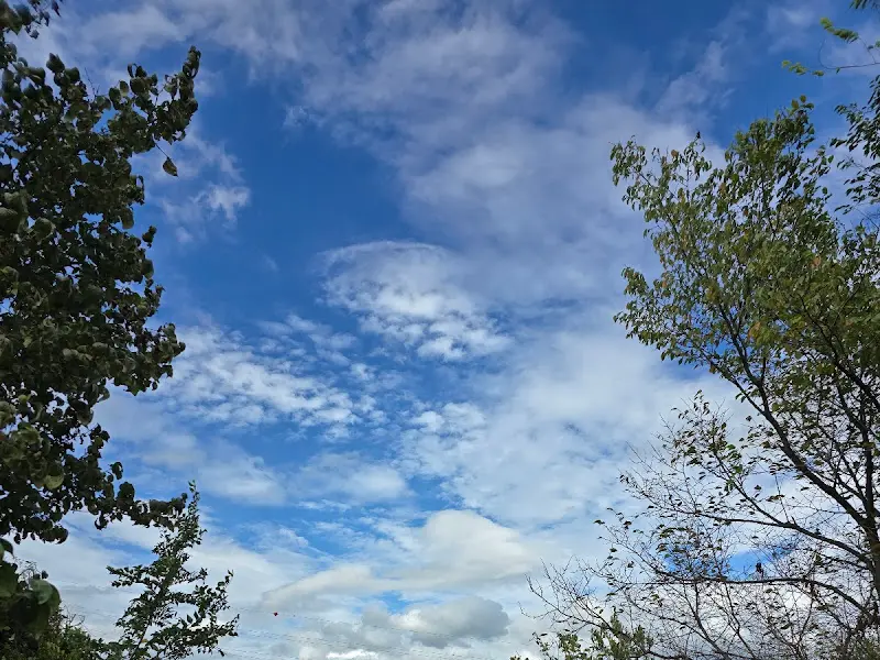 맑은 하늘과 푸른 나무가 어우러진 카페 전경