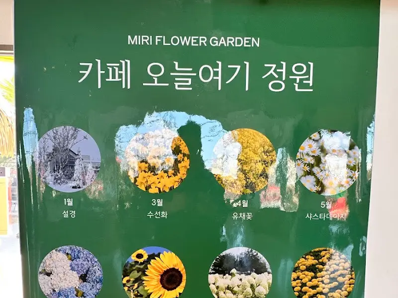 카페 오늘여기 정원 안내