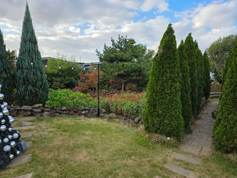 카페 오늘여기 정원