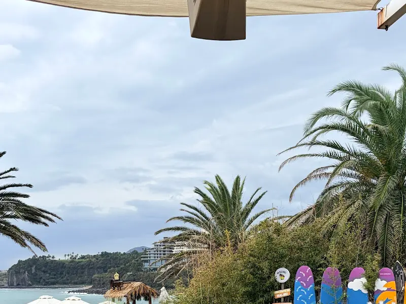 해변과 야자수가 보이는 풍경