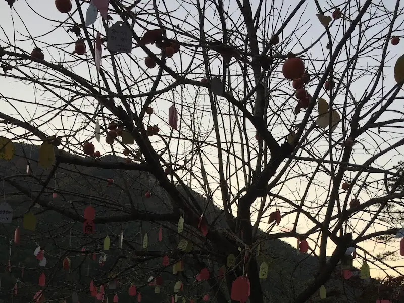 식당 주변 풍경