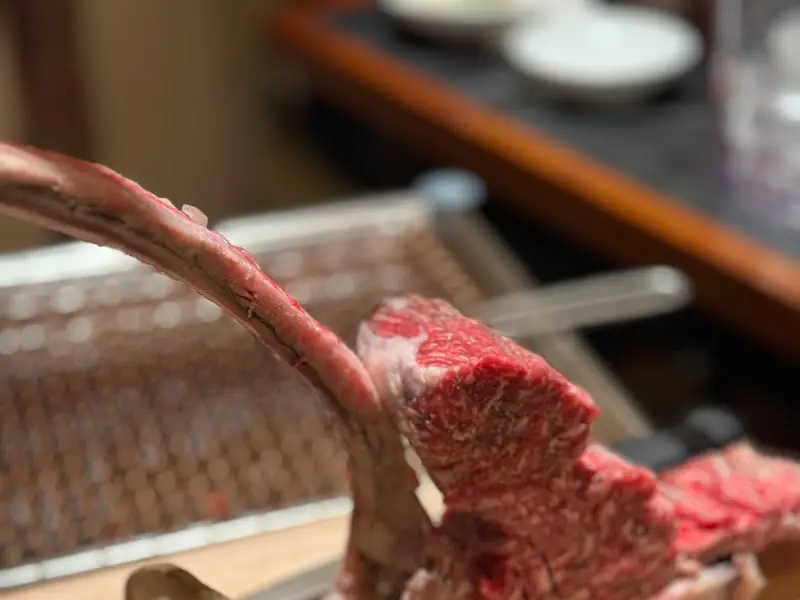 커다란 뼈에 붙어 있는 흑우 토마호크의 모습