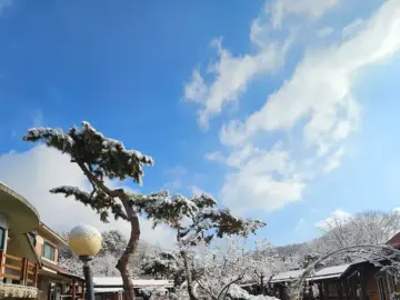 눈 내린 풍경 속에 숨겨진 용인 노포 맛집, 여기가 진짜 힐링이지!