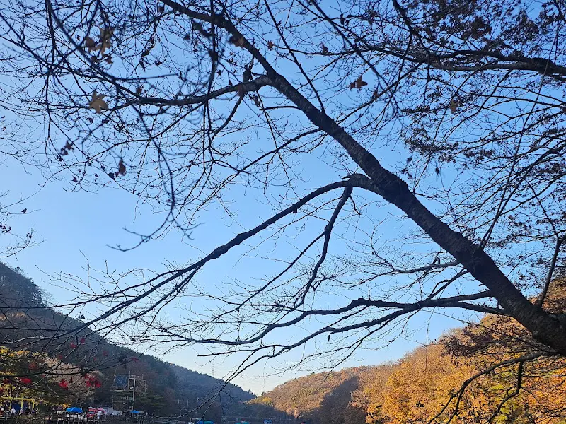 입곡저수지 풍경