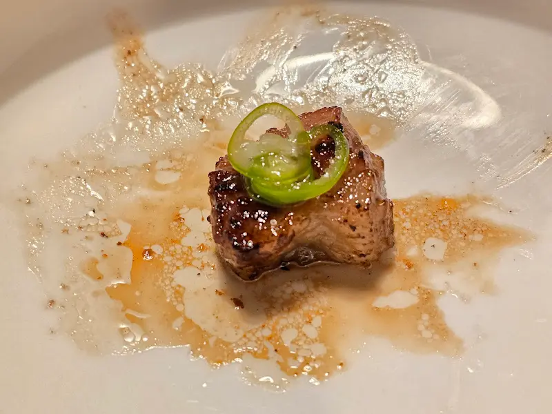 소스와 함께 제공되는 고기 한 점