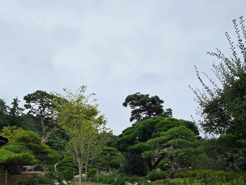 홍종흔베이커리 앤 카페의 정원 풍경