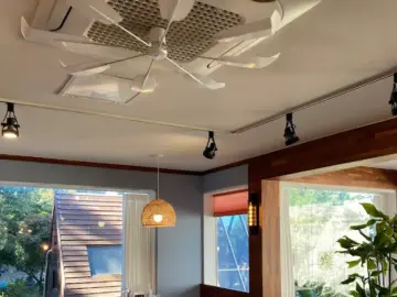 애월에서 만난 특별한 맛, 애월연어 본점: 혼밥도 행복한 제주 맛집 여행