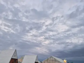 핑크빛 실험 공간, 청주 데이지 정원에서 만난 인생샷과 토성커피 맛집 탐험기