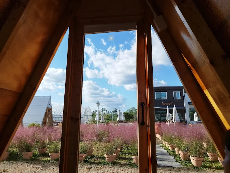 오두막에서 바라본 풍경