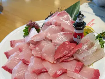 기장 앞바다 뷰 맛집, 대변항에서 힙하게 즐기는 회정식 레전드