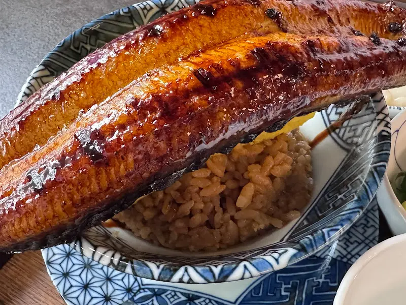 윤기가 흐르는 장어 한 점