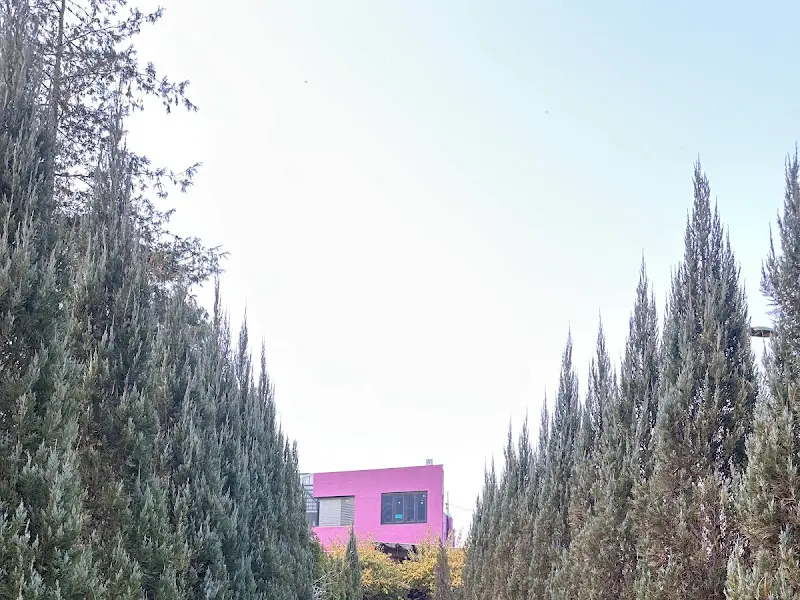 푸른 나무들 사이로 보이는 분홍색 건물