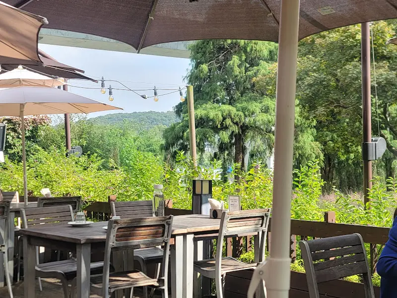 야외 테이블에 놓인 식기