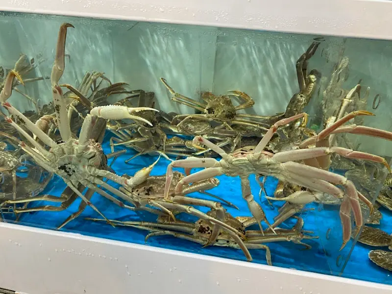 수족관 속 대게