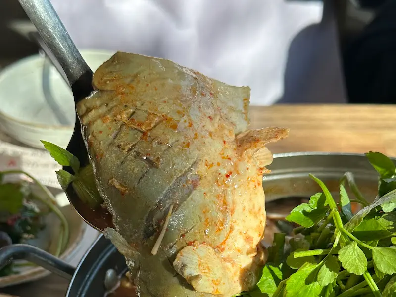 살이 통통한 메기