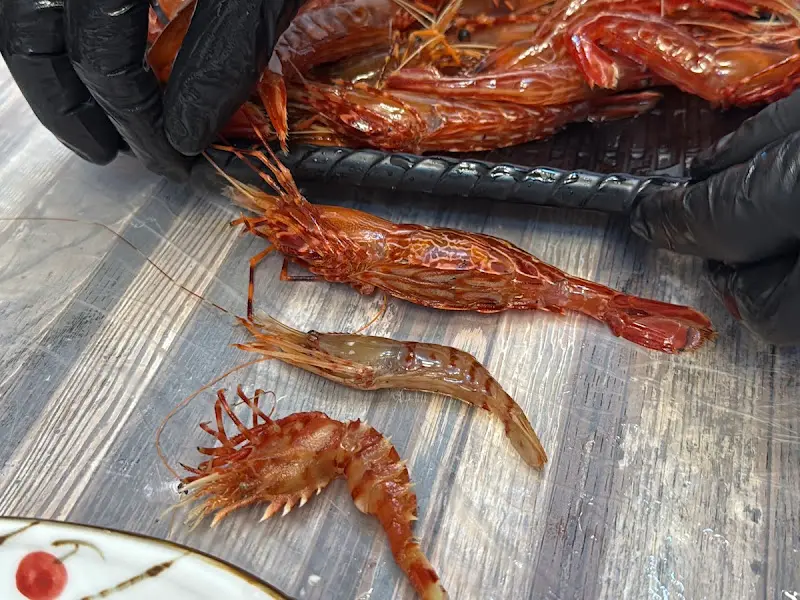 싱싱한 독도새우