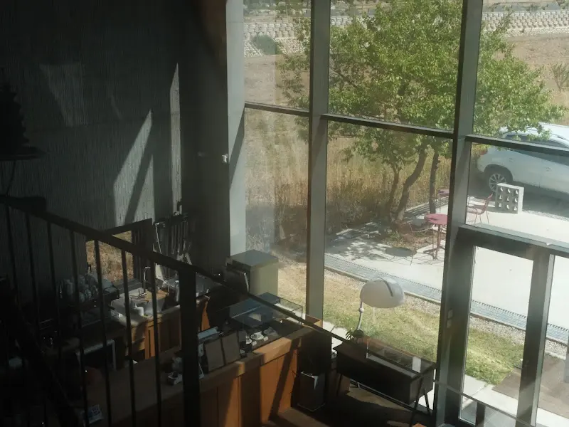 카페에서 바라본 바깥 풍경