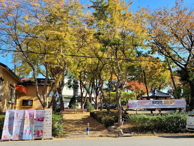 식당 주변 풍경