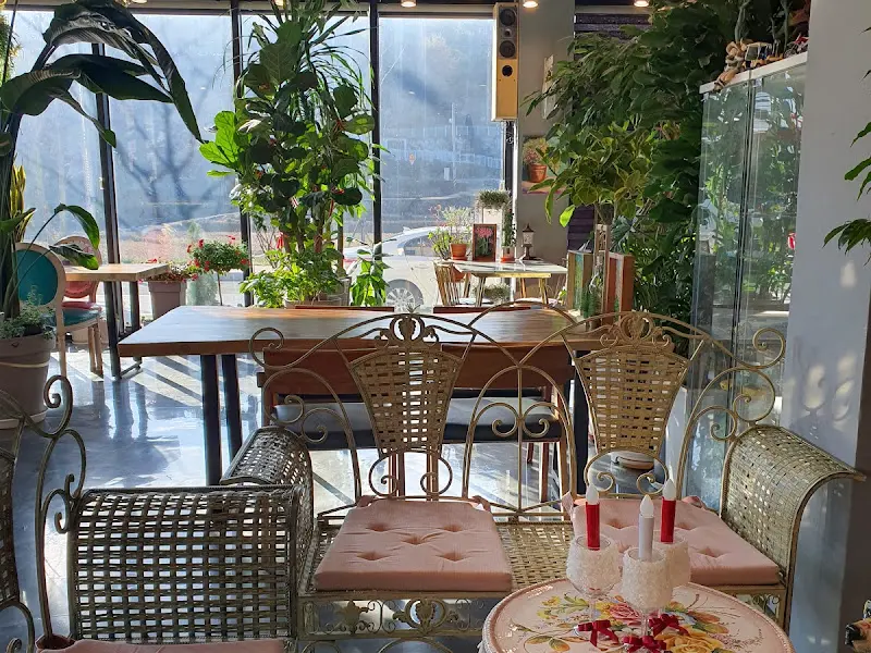 카페 내부 좌석과 식물