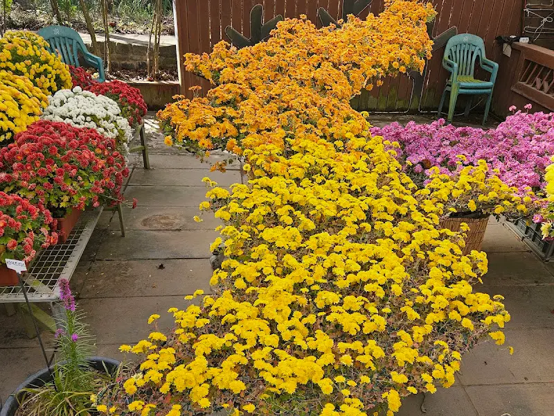 형형색색의 꽃들이 만개한 모습