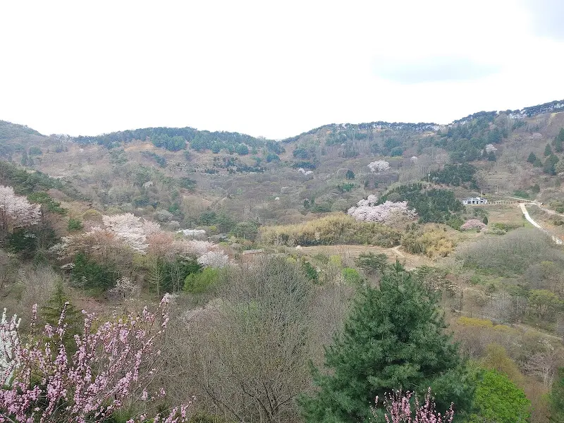 전망대에서 바라본 풍경