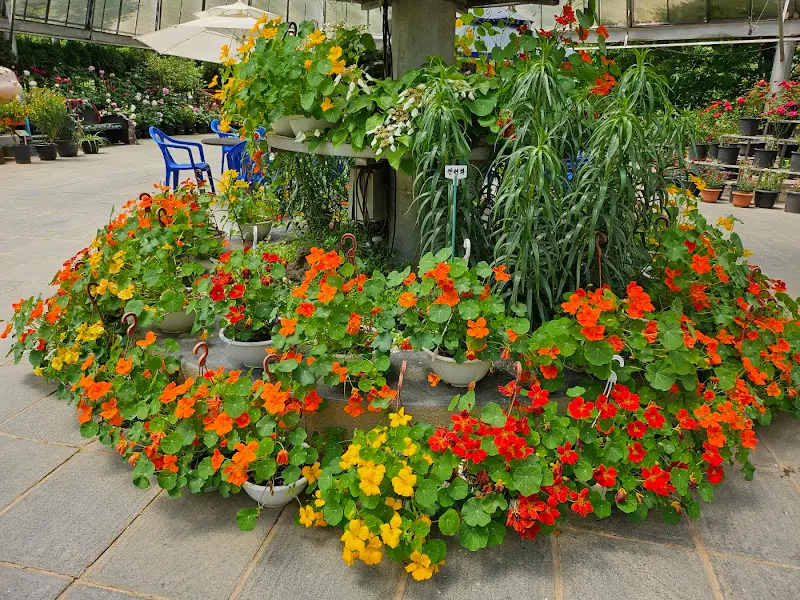 온실 속 화려한 꽃들