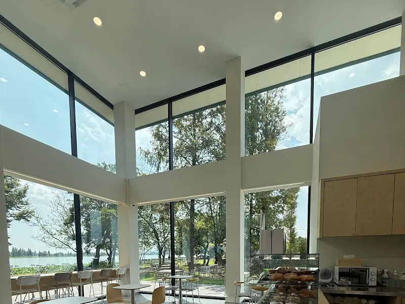 통유리창으로 보이는 카페 내부 풍경