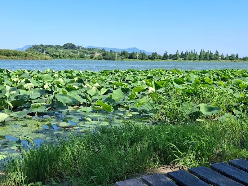 카페 옆 낙동강 풍경