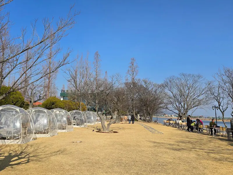 야외 테이블과 투명 돔