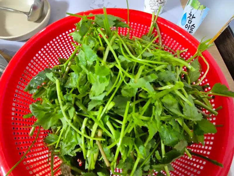 바구니에 담겨 나오는 신선한 미나리
