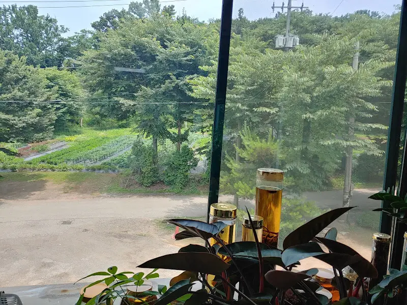 창밖으로 보이는 푸른 숲