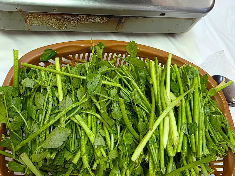 영미오리탕 신선한 미나리