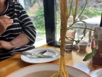 숨겨진 골목에서 발견한 보석, 충주 한옥 개조 맛집에서 인생 파스타 체험!