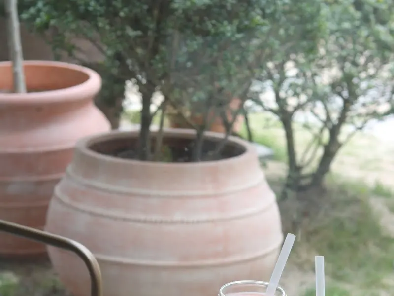 카페 외부 테라스 좌석 옆에 놓인 화분