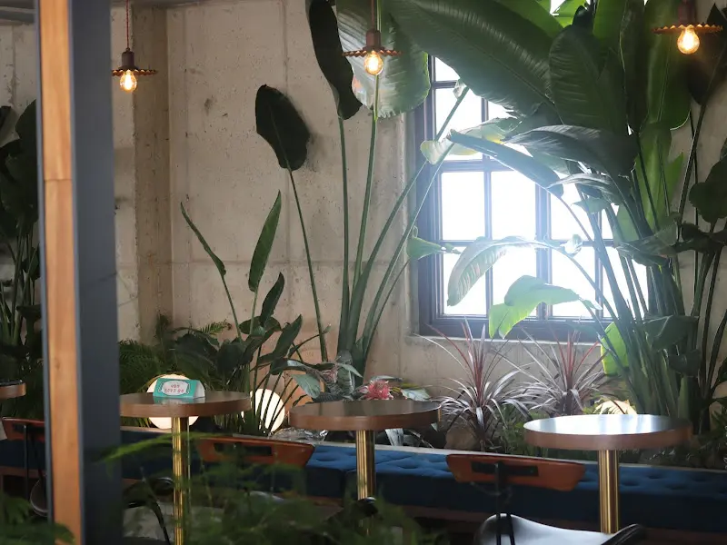 카페 내부, 테이블 주변을 둘러싼 초록 식물들