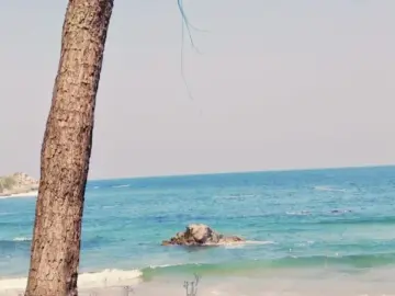 입 안 가득 풍미, 강서구 곱도리탕 맛집 기행