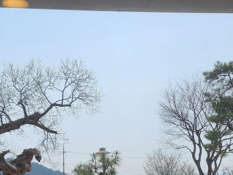 창밖으로 보이는 풍경