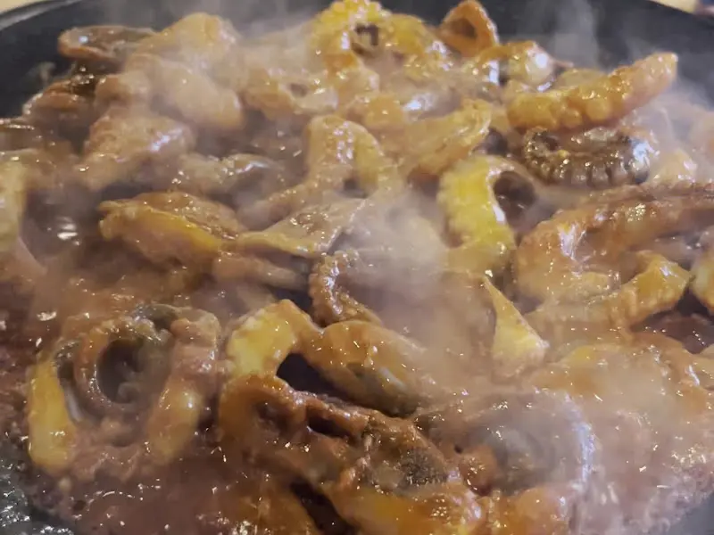 탱글탱글 쭈꾸미