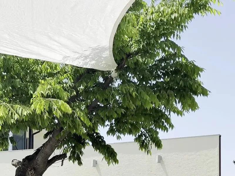 카페 외부 조경