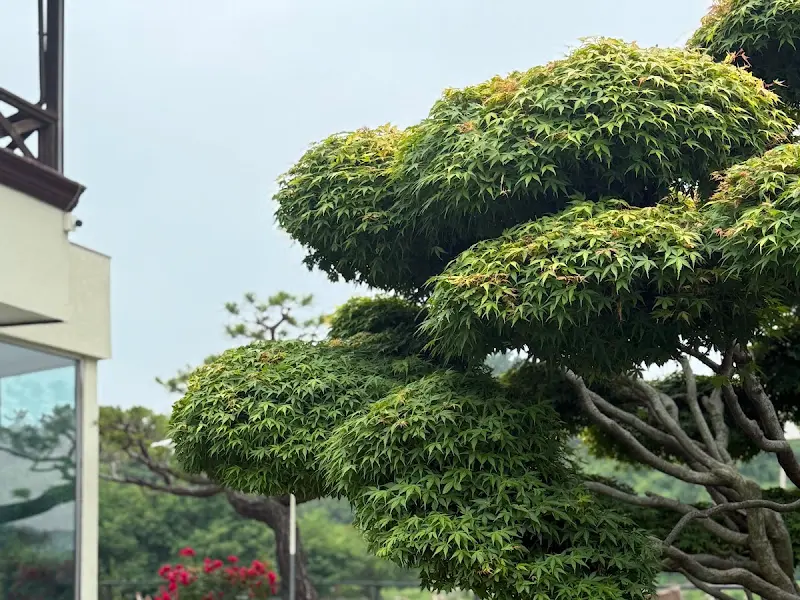 정갈하게 가꿔진 정원