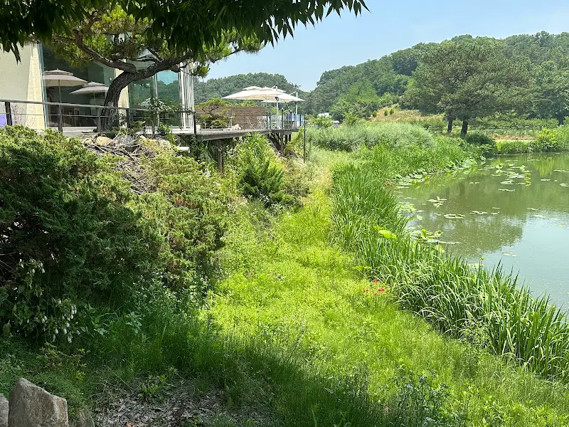 카페에서 바라본 저수지 뷰